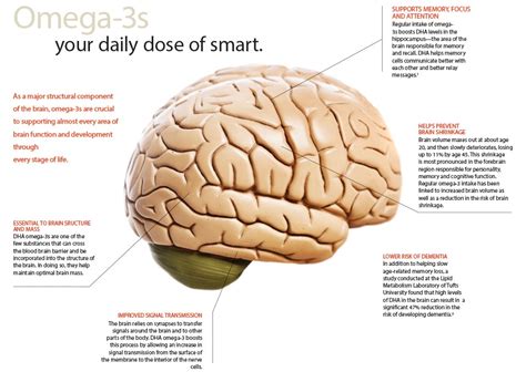 omega 3 effect on brain.